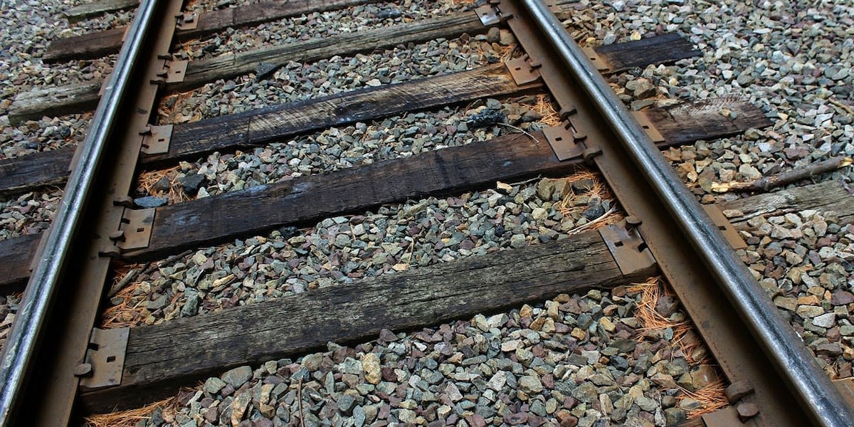 Metro-North train delayed because it hit a downed tree