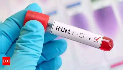 H1N1 Cases Rising in City Despite Drop in Malaria, Dengue, and Lepto | Mumbai News - Times of India