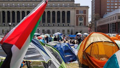 El "nuevo Vietnam": las masivas protestas universitarias propalestinas se extienden por Estados Unidos