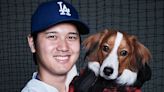 Shohei Ohtani Celebrates Famed Dog Decoy's First Birthday With Adorable Photos