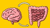 Seven daily habits to improve your gut health and boost your brain power