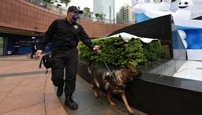 北市例行活動屢跟新北借緝毒犬 議員籲培養自己的警犬