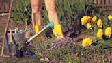 Best cities for naked gardening