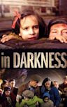 In Darkness (2011 film)