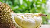 Durian lovers unite: Dig into fresh durians and all things durian