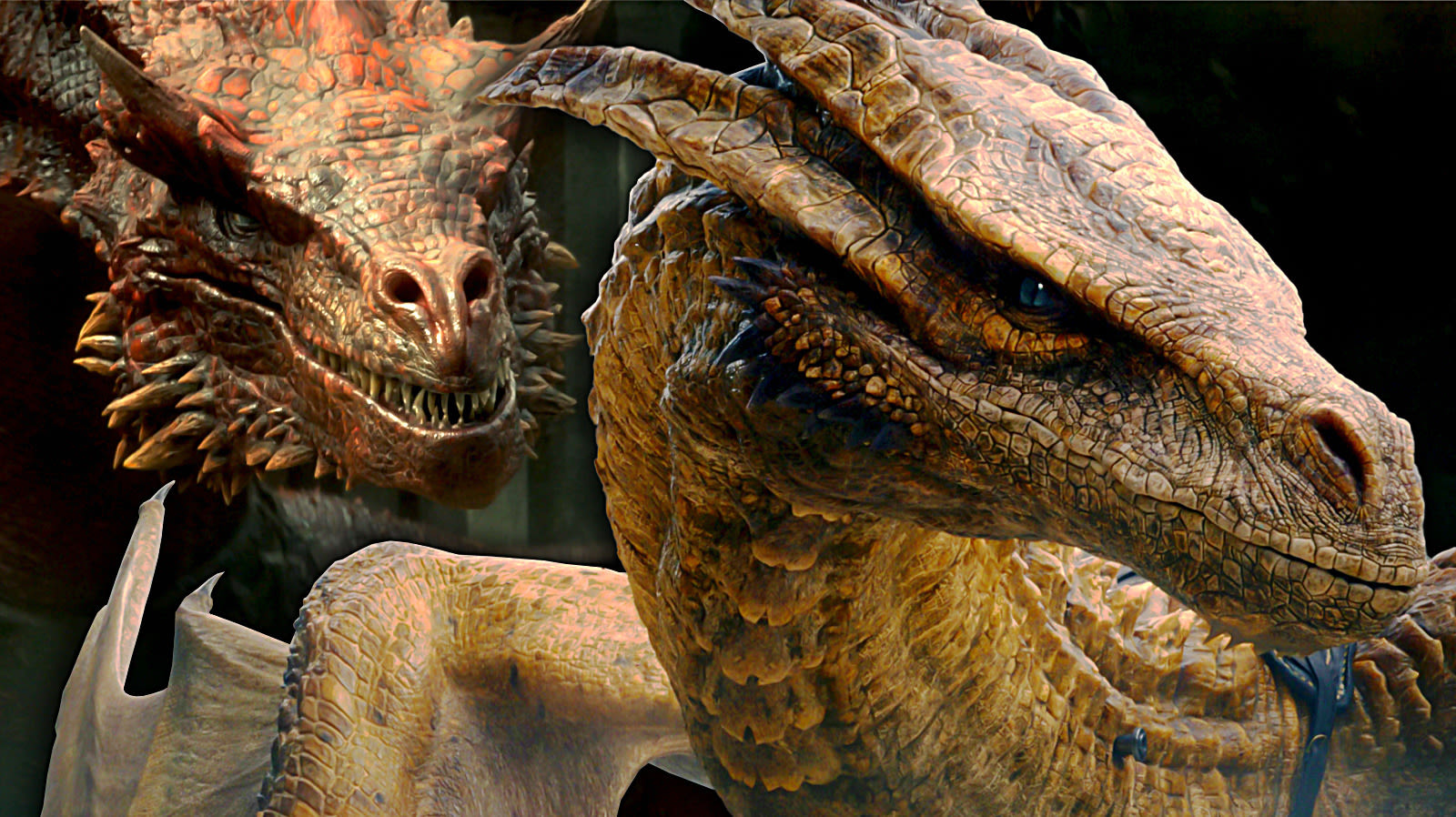 Every Dragon In HBO's House Of The Dragon, Ranked By Strength - SlashFilm