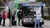 Free transit fares in Miami-Dade start Monday. And so do new bus routes. What to know