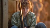 Percy Jackson Actor Change: Why Has Walker Scobell Replaced Logan Lerman?