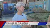 Summer of the shark at the St. Louis Aquarium