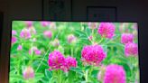 Review: The Hisense U6H Is a Budget TV That Goes Way Above and Beyond