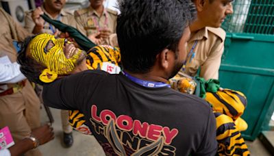 Bangladesh fan Tiger Robi suffering from Tuberculosis, arrived on medical visa; travel history under inspection: Report