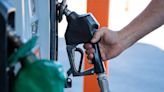 Florida gas prices highest in Southeast. See tips to save and where to find cheapest gas