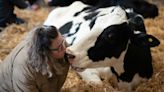 US Dairy Trade Goes Hand-In-Hand With UN Goals