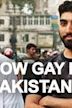 How Gay Is Pakistan?