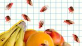 I Asked 2 Experts How to Get Rid of Fruit Flies—Their Advice Made the Pests Buzz Off