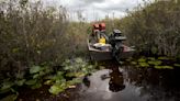 U.S. to nominate Okefenokee Swamp refuge for listing as UNESCO World Heritage site