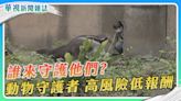 動物守護者 誰來守護他們？｜華視新聞雜誌