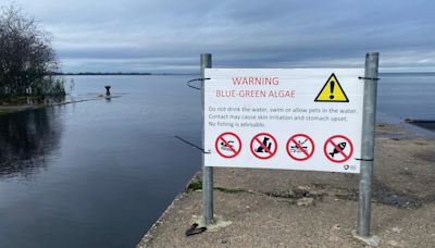 Lough Neagh plan of action to be outlined