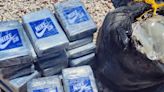 Scuba divers find suspected cocaine haul off Key Largo