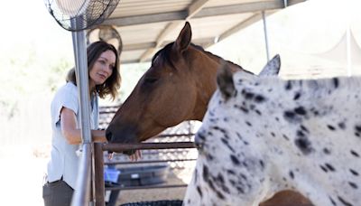 'Like the clouds parted': At a Cave Creek haven, horses bring peace to grieving families