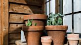 There's a simple trick you're missing to make your backyard's clay pots look better and the plants inside healthier