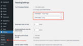 12 WordPress site settings that are critical to your SEO success