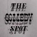 The Comedy Spot