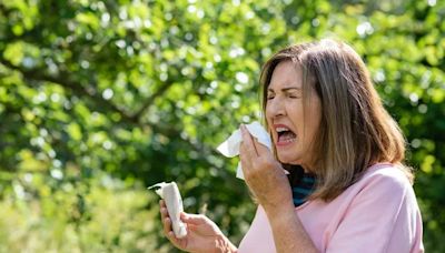 London hayfever warning issued for this weekend by Met Office