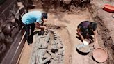 Vishnu sculpture found during excavation in Maharashtra