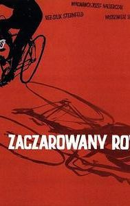 Zaczarowany rower