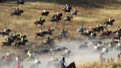 Sólo habrá chalecos verdes para los caballistas de los encierros de Cuéllar