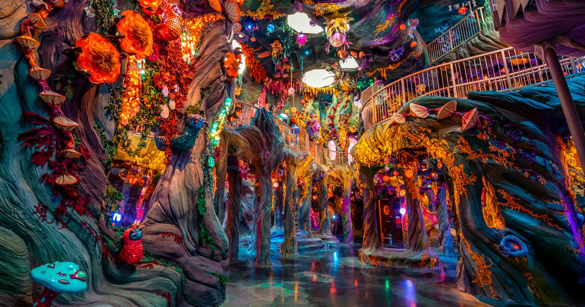 Meow Wolf Is Bringing a Kooky Movie Theater to LA