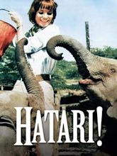 ¡Hatari!