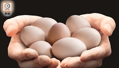 全球蛋價又升 日本累漲兩成 禽流感以外還有另一原因...