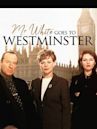 Mr White Goes to Westminster