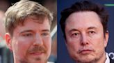 Elon Musk and MrBeast have a complicated friendship — and it may be beginning to turn sour