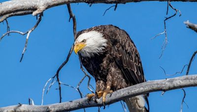 What Are The Most Dangerous National Parks In The U.S.?