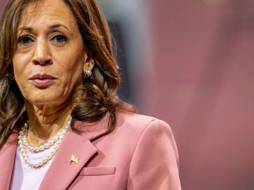 ‘Long live the American Dream’: Megadonor family throws weight behind Kamala Harris