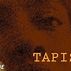 Tapish | Full Movie - YouTube