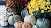 10 Types of Pumpkins to Upgrade Your Fall Decor