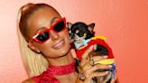 Paris Hilton says she turned to 7 pet mediums in search for pet chihuahua Diamond Baby