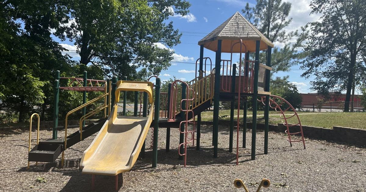 Columbia Parks and Recreation looks to renovate one of city's oldest parks