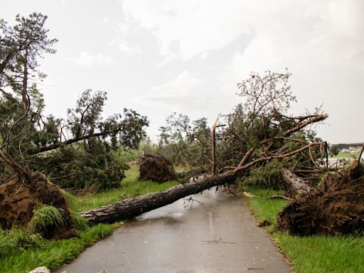 EF2 tornado confirmed in southern Michigan, peak wind hit 135 mph