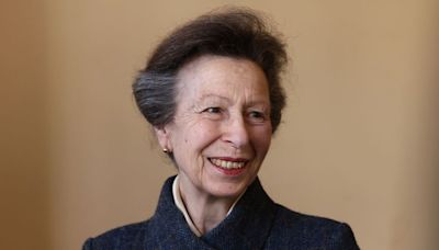 Princess Anne Has Been Hospitalized With a Concussion, Buckingham Palace Says