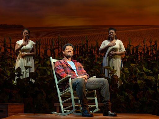 BROADWAY REVIEW: ‘Home’ by Samm-Art Williams is richly poetic play about quest for inner peace