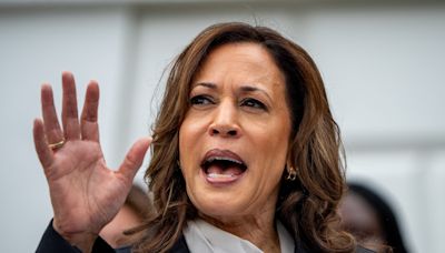 These 6 House Democrats voted for GOP resolution condemning Kamala Harris's 'failure to secure' the border