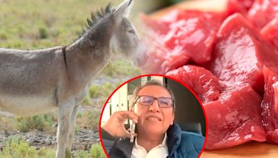 Productores de Carne Bovina sobre exportación de carne de burro: "Cantidad para exportarse es mínima"