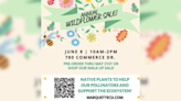 Helping ecosystem and pollinators, Marquette County Conservation District holds wildflower sale this weekend