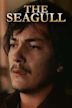 The Seagull