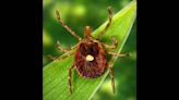 Case of rare tick-borne illness found in Kansas resident. It’s the third in the state